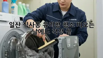 일산 식사동 유리창 청소, 비오는 날에도 걱정 끝!