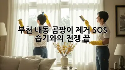 부천 내동 곰팡이 제거 SOS🚨 습기와의 전쟁 끝!