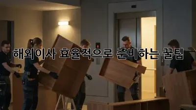 해외이사, 효율적으로 준비하는 꿀팁!